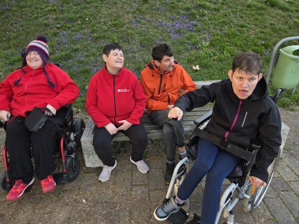 Meditacija v naravi in objem dreves