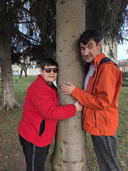 Meditacija v naravi in objem dreves