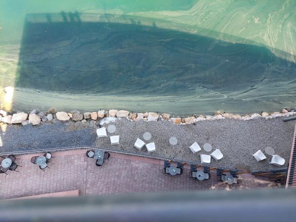 Žensko dopoldne na Visti