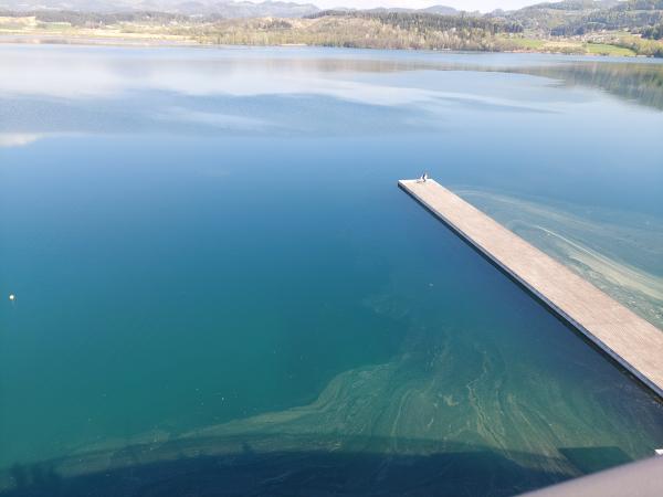 Žensko dopoldne na Visti