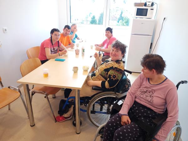 Domači sladoled, kitke in medalja