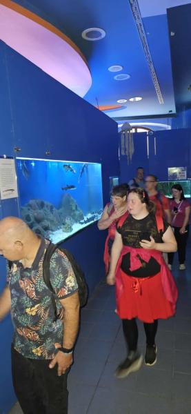 Letovanje v Poreču, ki ostane v spominu!