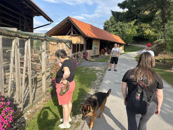 Alpakin raj – kmetija Ocepek