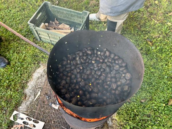 Jesenski dan ob kostanju  