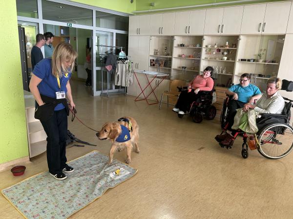 Tačke pomagačke na obisku