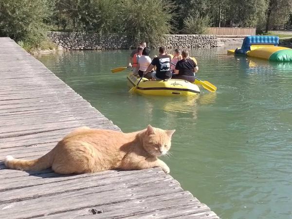 Čudovit dan v Kampu Menina