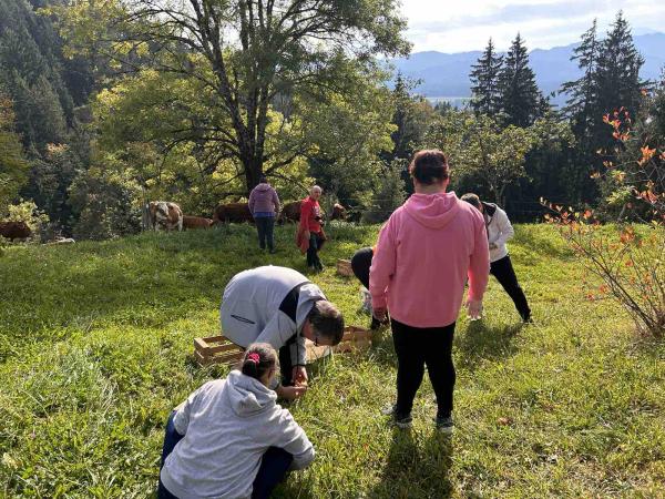 Letovanje na Ekološko turistični kmetiji Lešnik