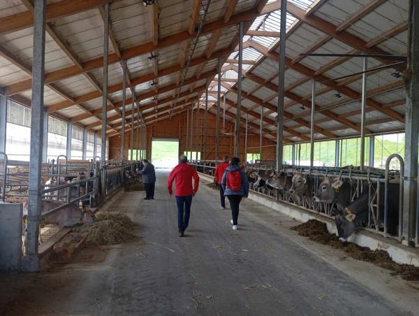 Prijeten izlet – obisk  kmetij Grobelnik in Podpečan