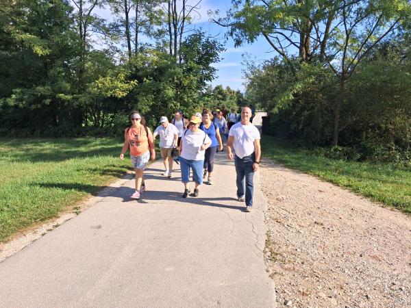 Dan za gibanje in sprostitev