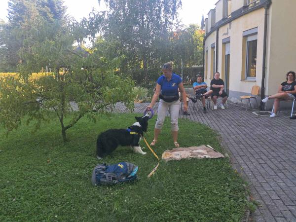 Obisk štirinožne prijateljice Lacy