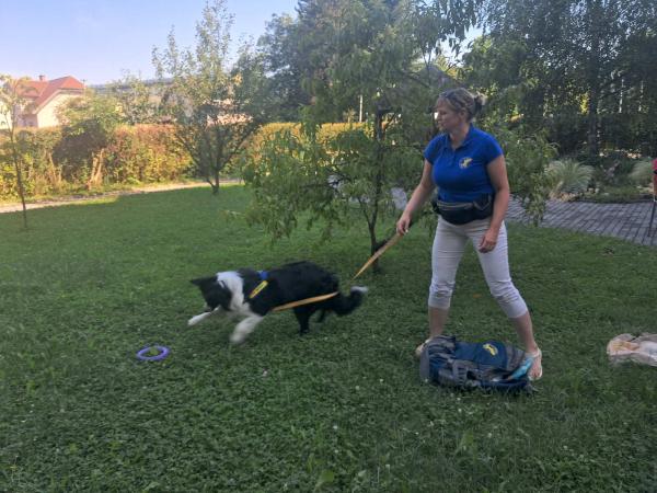 Obisk štirinožne prijateljice Lacy