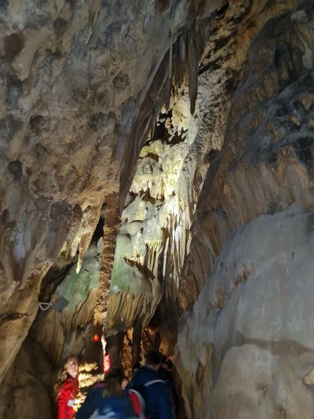 Na izlet v Jamo Pekel