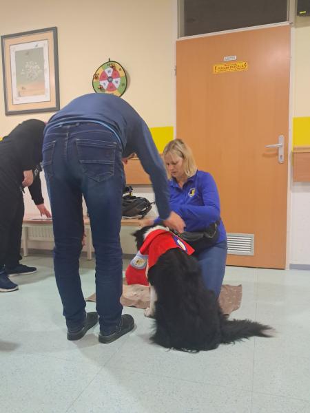 Naš kosmati prijatelj Lacy je spet z nami